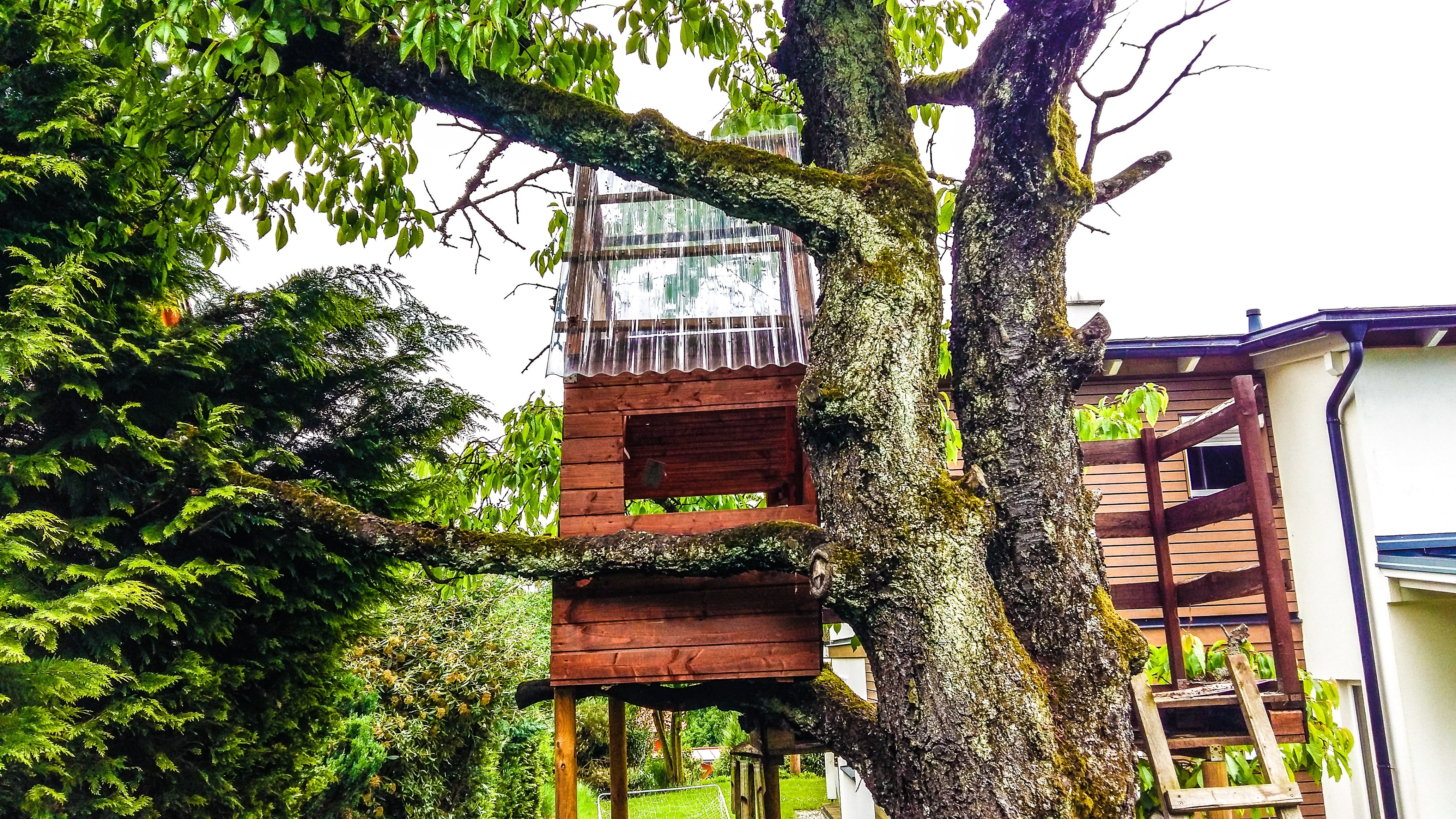 brown wooden tree house