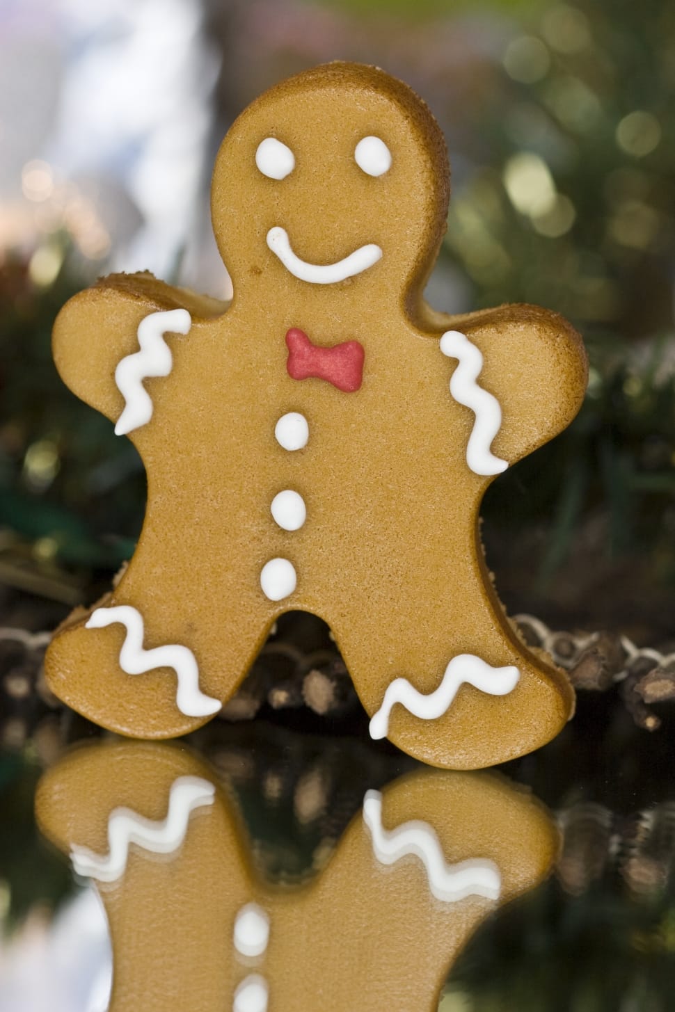 ginger bread preview
