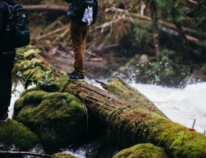 two person standing on log and rock thumbnail