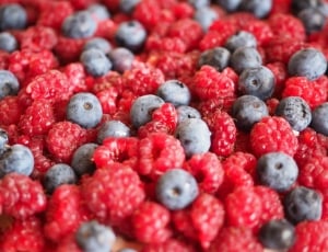 raspberry and blueberry lot thumbnail