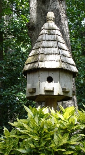 brown wooden birdhouse beside tree thumbnail