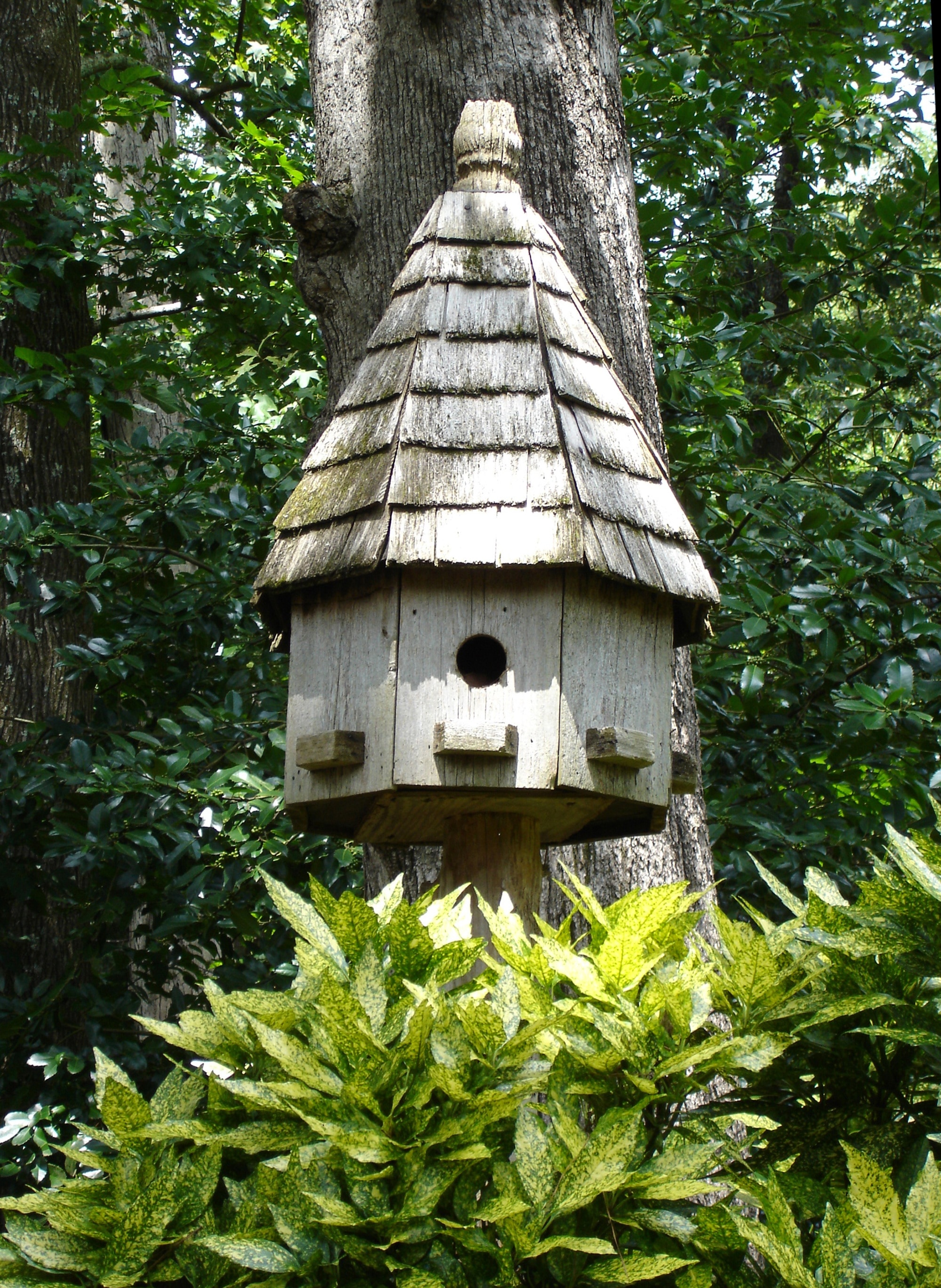brown wooden birdhouse beside tree