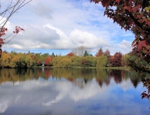 body of water surrounded of trees photo thumbnail