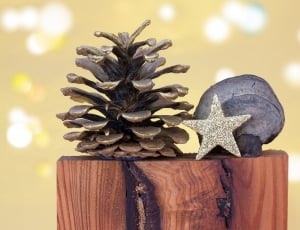 Christmas, Baumschwamm, Pine Cones, Star, close-up, no people thumbnail