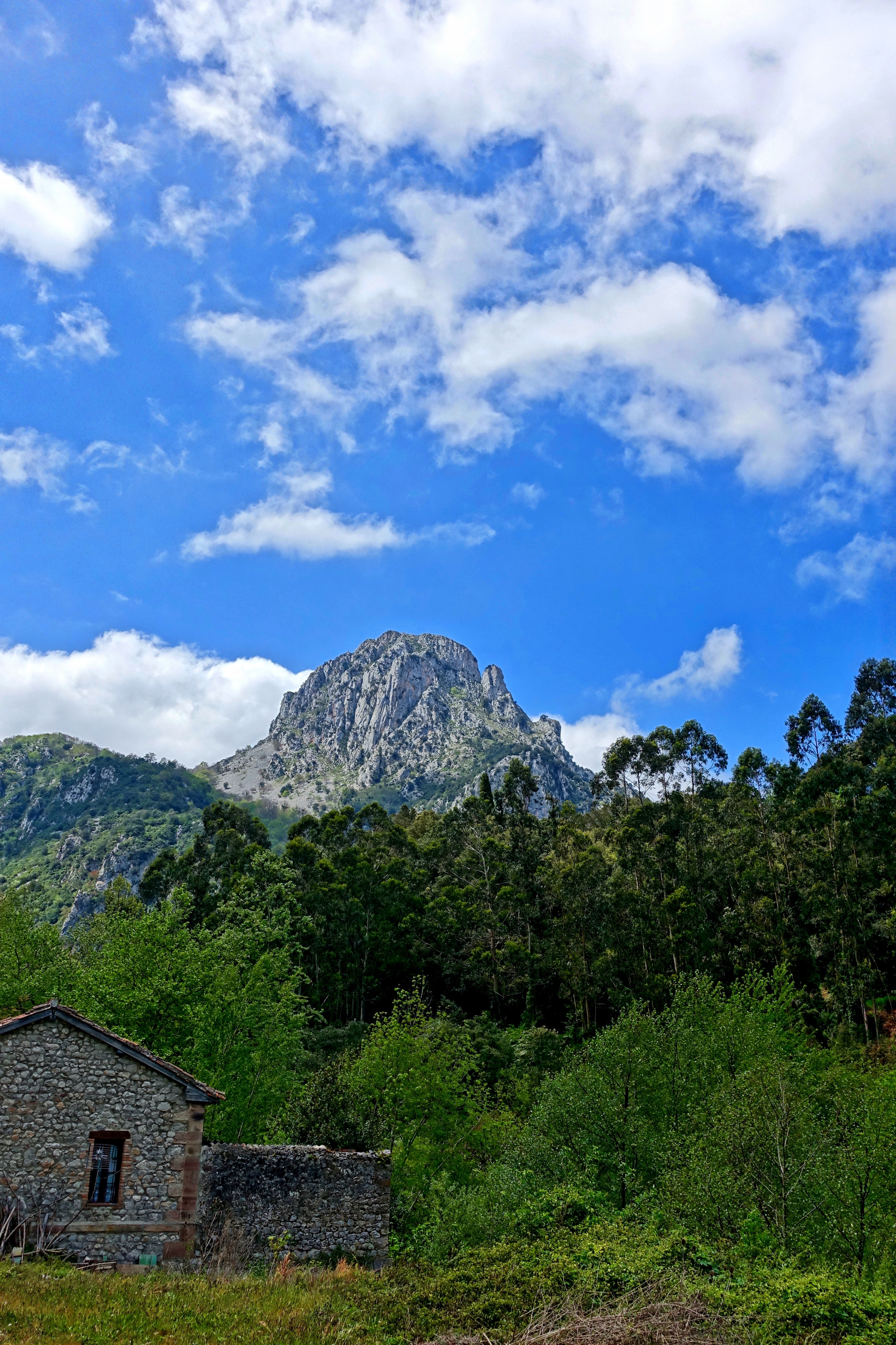 view of mountain surrounded by green trees under partly cloudy skies during daytime