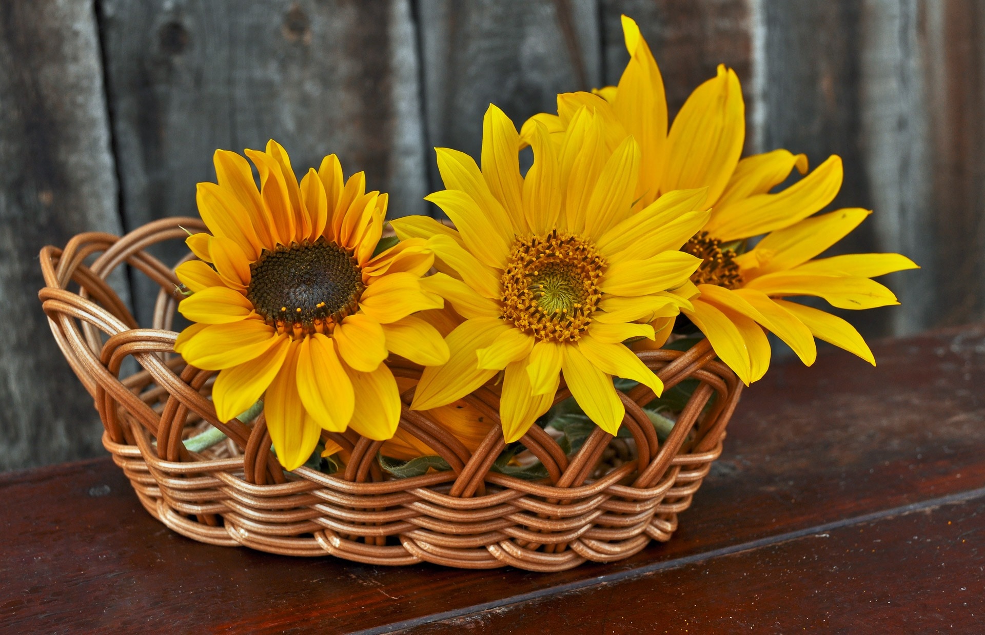 sunflowers and wooden basket