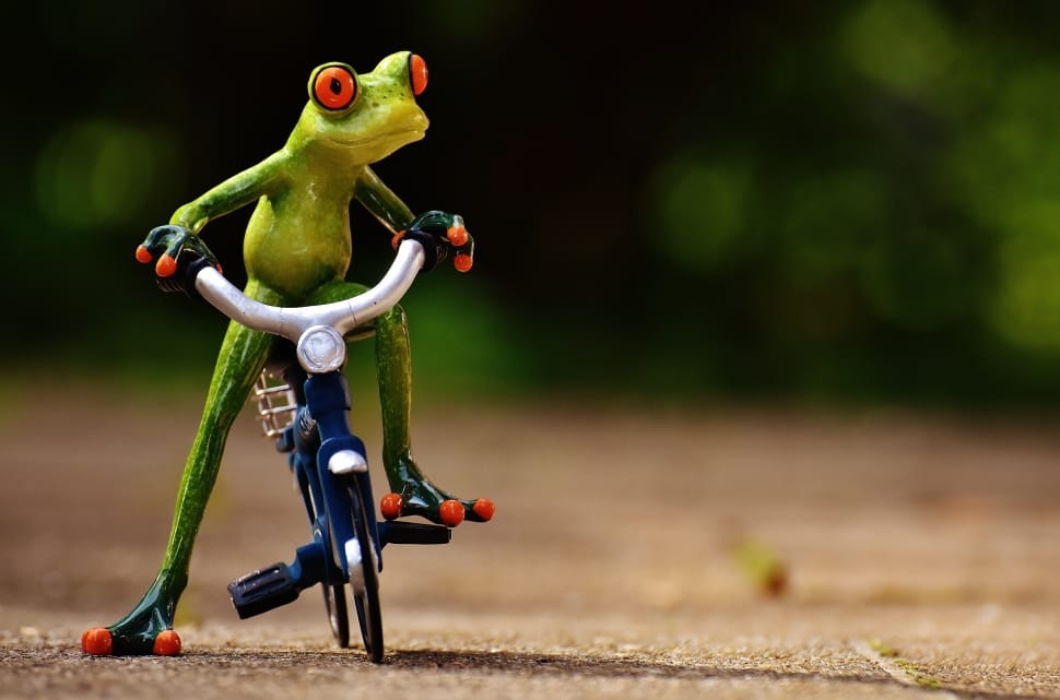 kermit the frog with bicycle preview