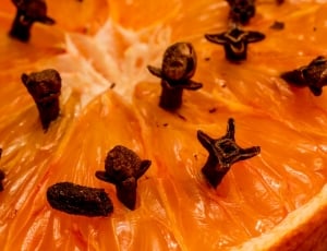orange fruit with sticks in closeup shot thumbnail