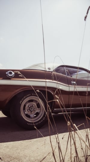 silhouette photography of white and brown muscle car during daytime thumbnail