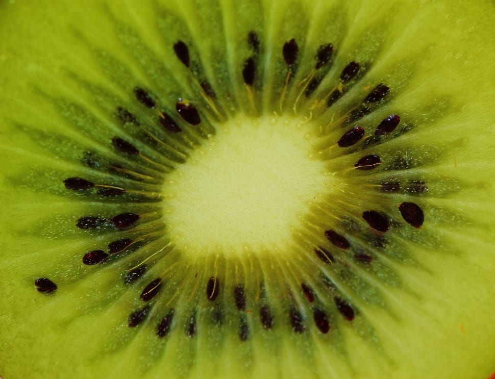 kiwi fruit preview