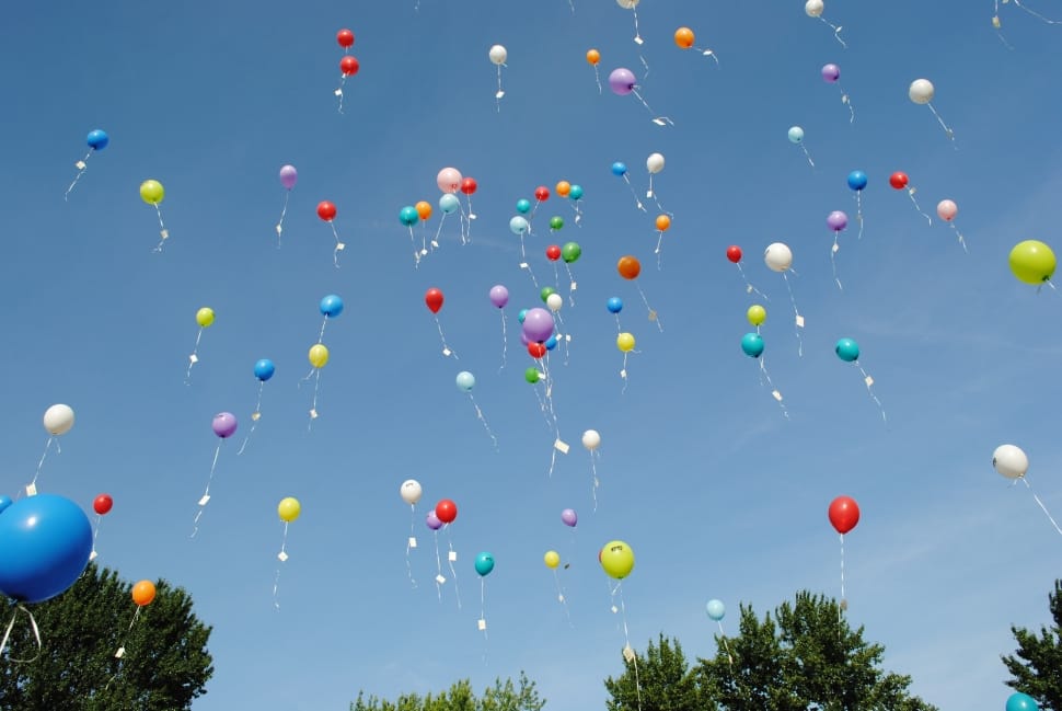 Celebration, Float, Balloons, Helium, celebration, multi colored preview