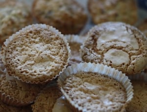close up photography of muffins thumbnail