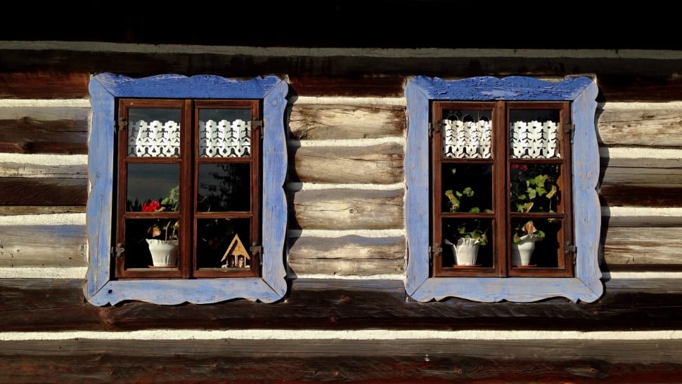 blue wooden framed windows with green potted plants preview