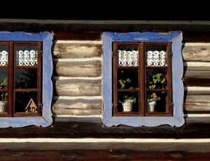blue wooden framed windows with green potted plants thumbnail