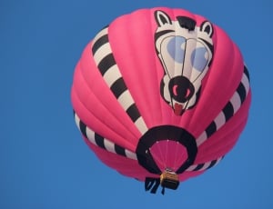pink and Zebra Print hot air balloon photography during daytime thumbnail