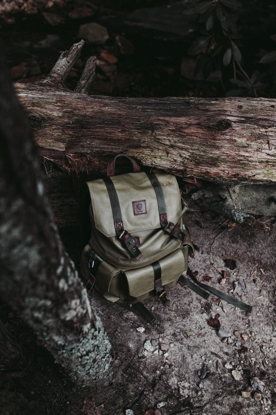 brown backpack beside tree log preview