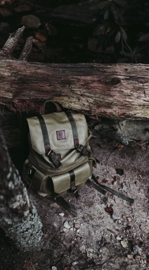 brown backpack beside tree log thumbnail