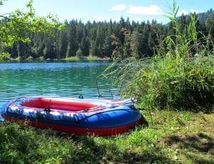 red and blue inflatable boat on green grass thumbnail