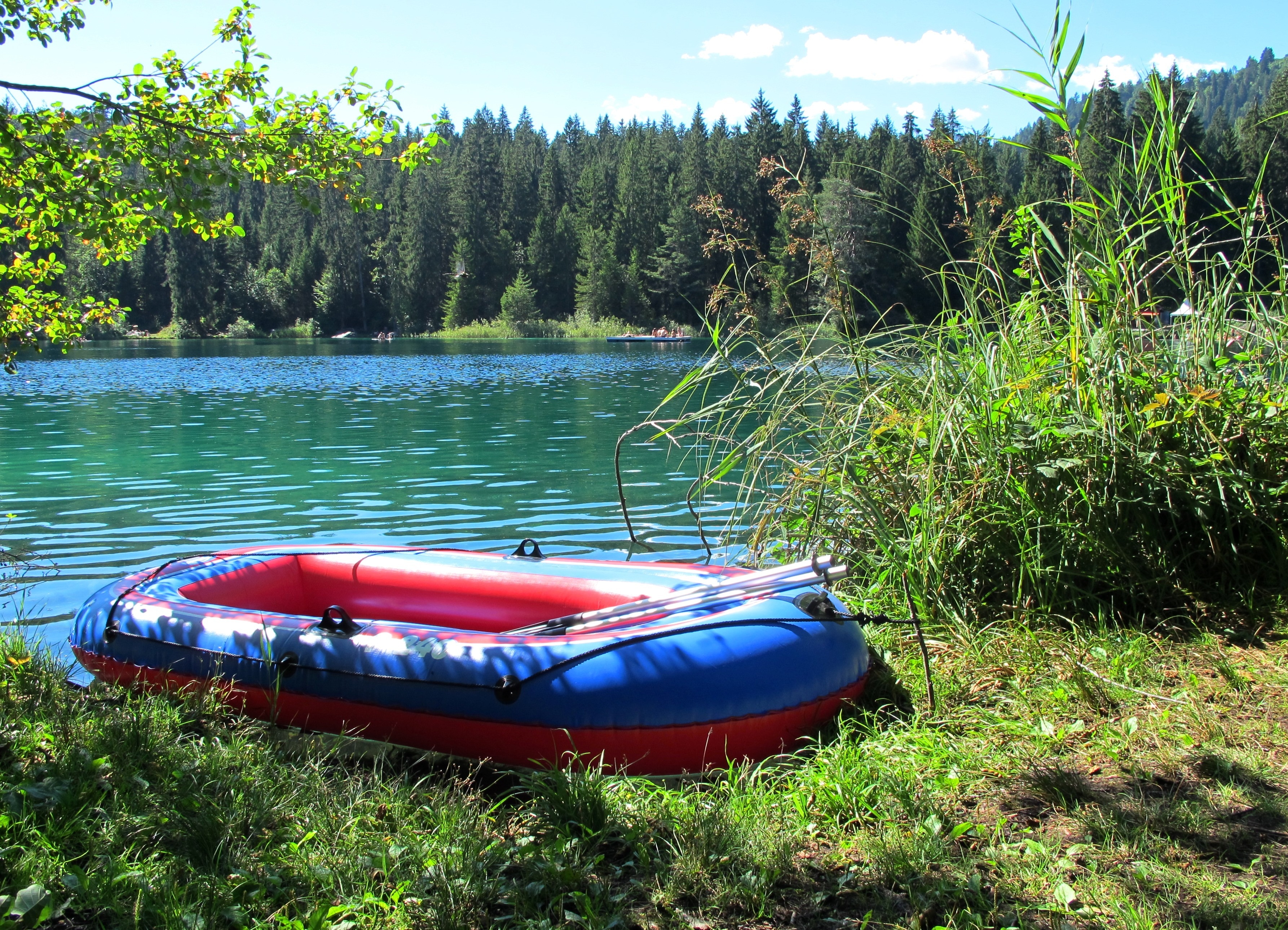 red and blue inflatable boat on green grass