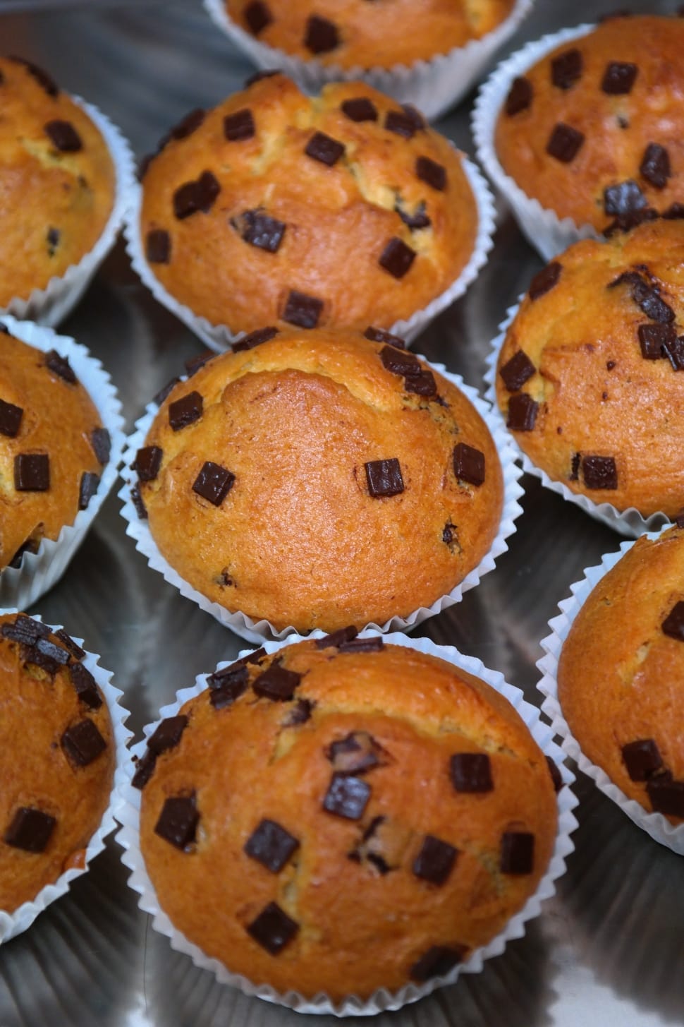 Muffins, Chocolate, Schokoladenmuffins, food and drink, sweet food preview