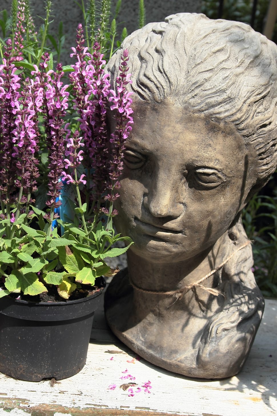 woman grey head bust and purple petal flower preview