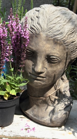 woman grey head bust and purple petal flower thumbnail