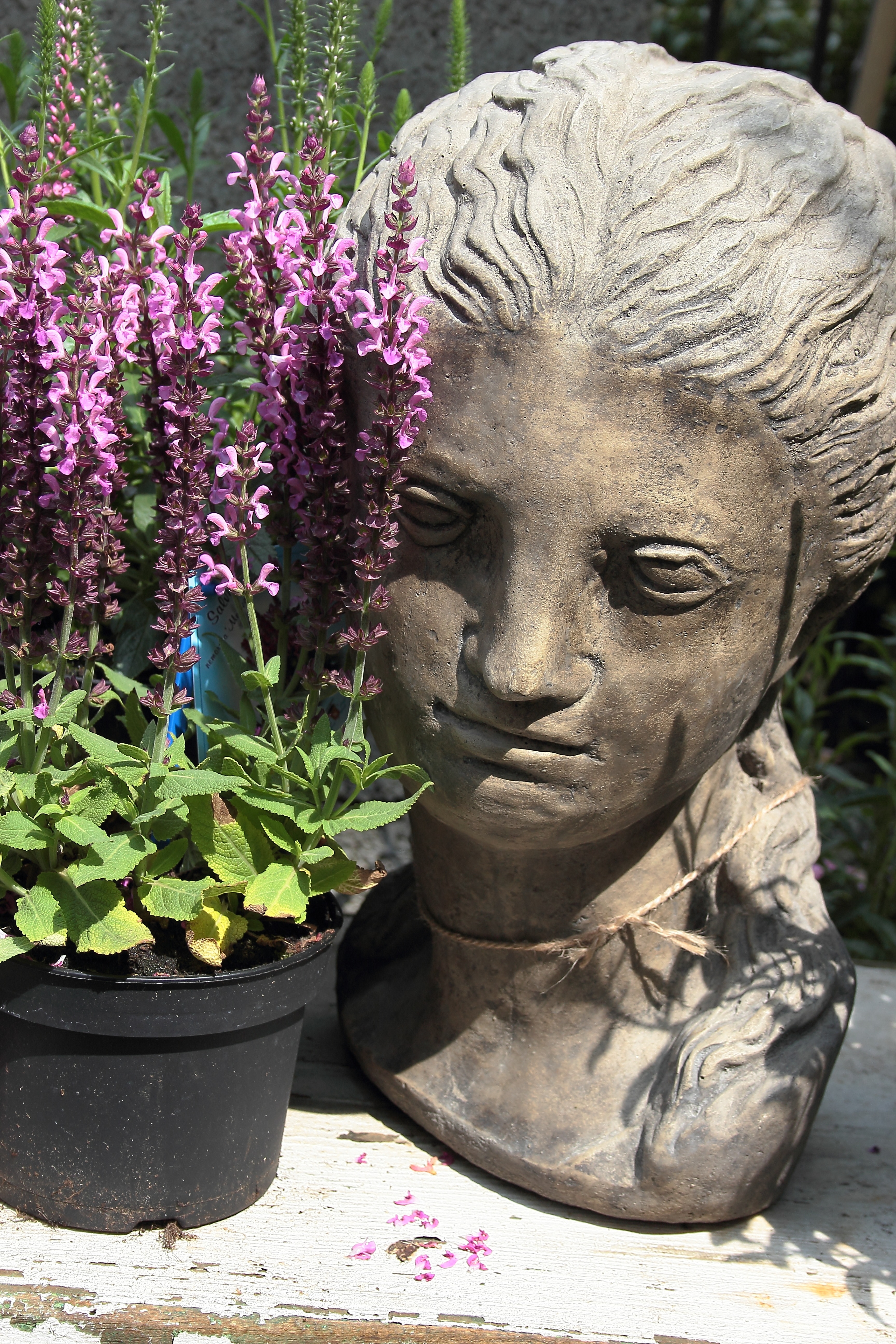 woman grey head bust and purple petal flower