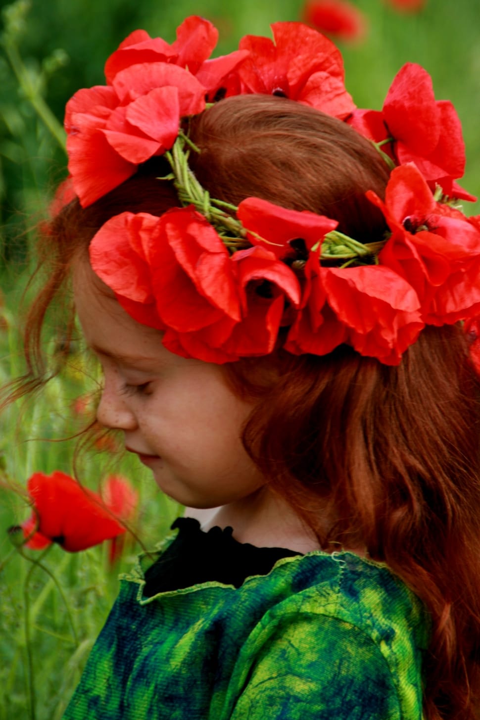 Poppies, Camp, Girl, Red, Red Hair, red, flower. 