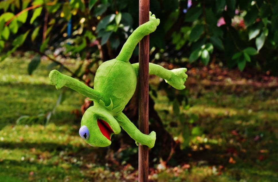 kermit the frog plush toy preview