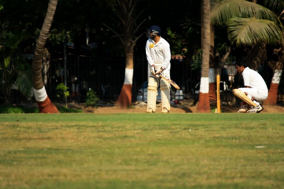 Batting, Cricket, Defense, Wicketkeeper, grass, casual clothing preview