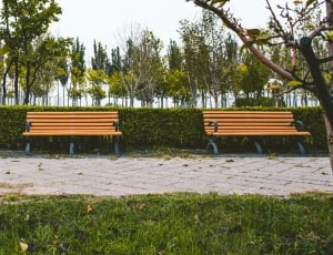 bench, green, grass, plant, bench, absence thumbnail