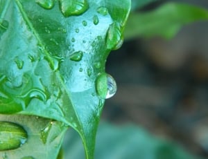 water droplet micro lens photography thumbnail