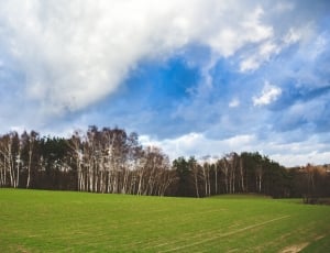 Field, Nature, Sky, Landscape, Green, grass, cloud - sky thumbnail