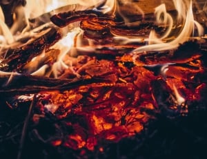 burning firewood thumbnail