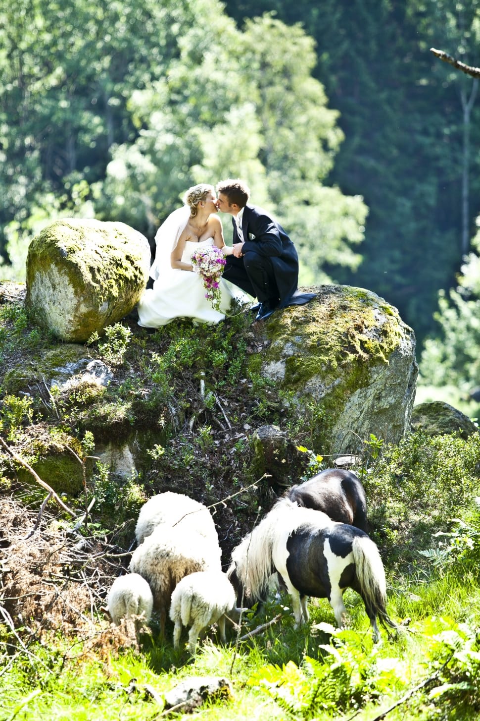 newly wed couple kissing above stones preview