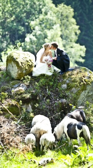 newly wed couple kissing above stones thumbnail
