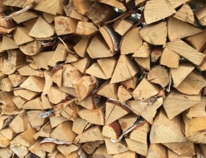 The Nature Of The, Forest, Three, stack, timber thumbnail