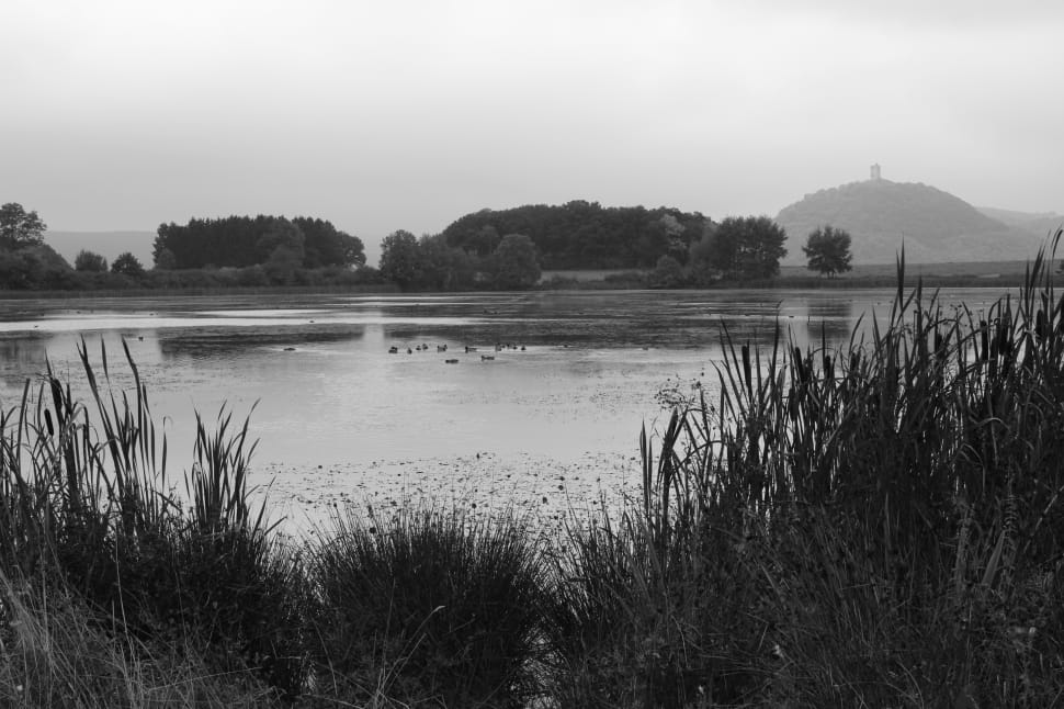 grayscale photo of lake preview