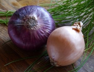 purple onion and brown onion thumbnail