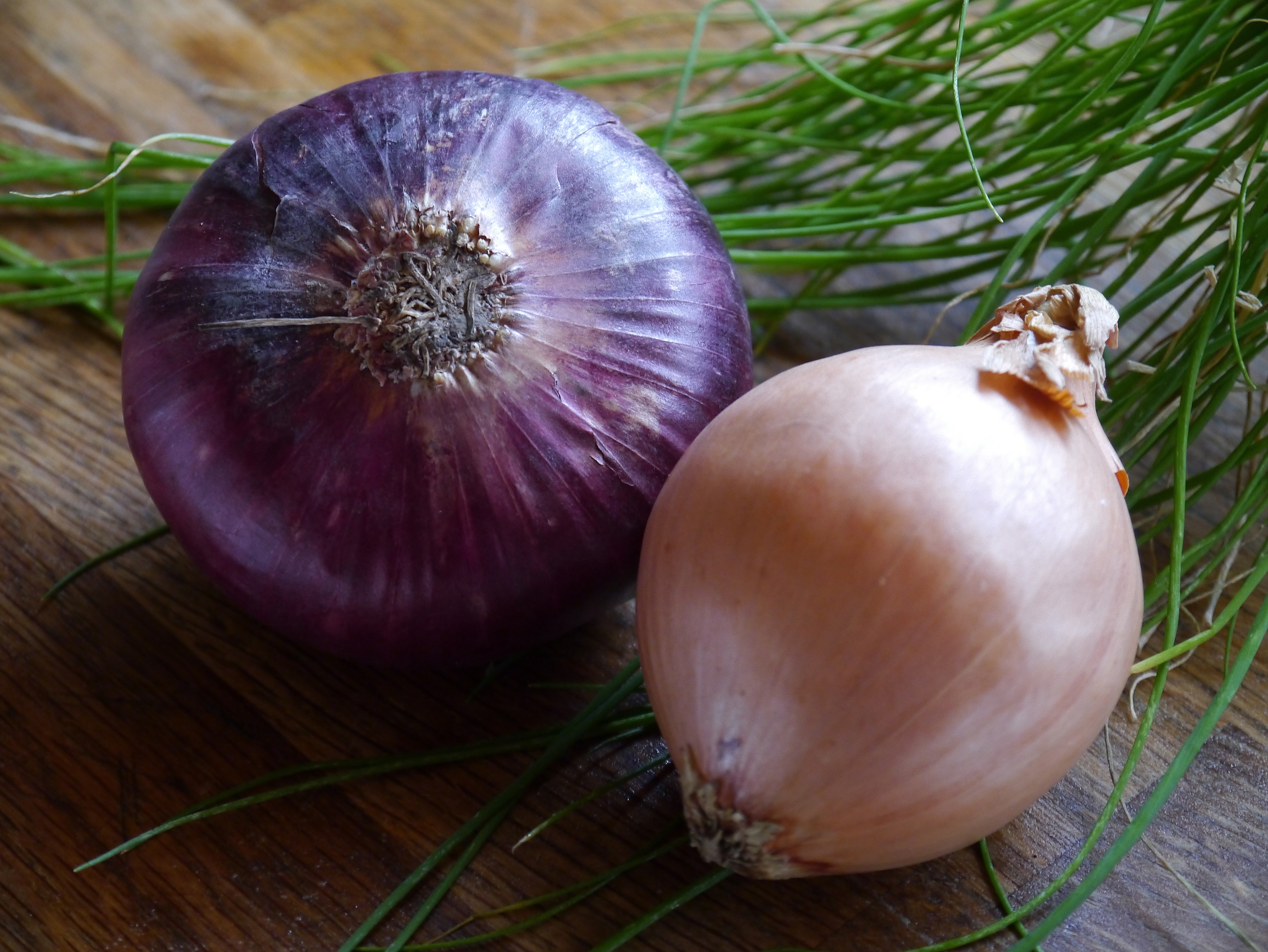 purple onion and brown onion