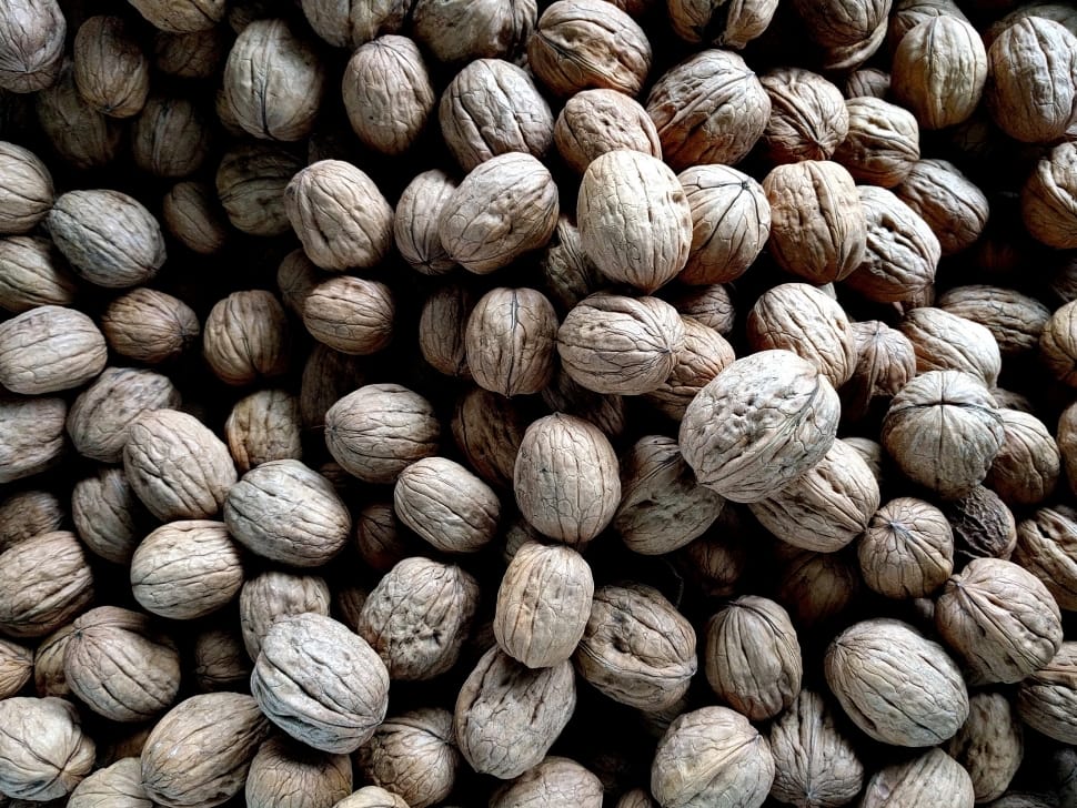 grey nuts preview