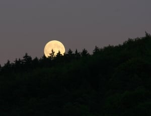 Person take a picture of full-moon thumbnail