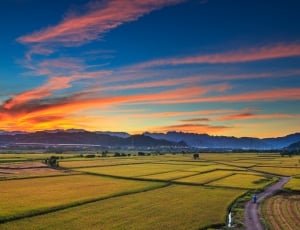 sunset, farmland, orange sky thumbnail