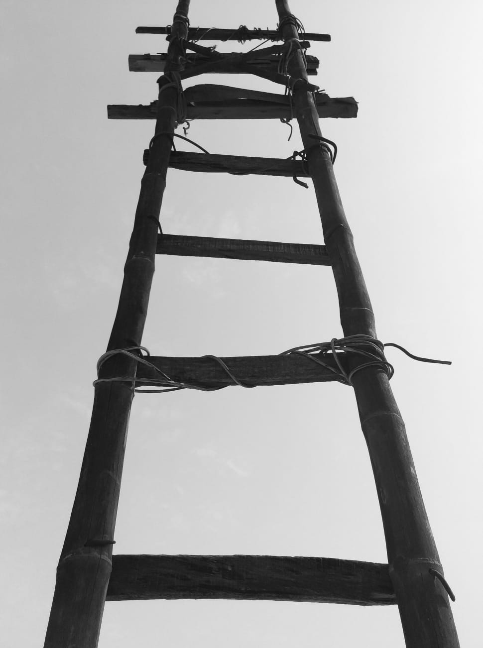 grayscale photo of black bamboo ladder preview