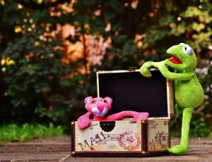 pink panther and kermit the frog plush toy thumbnail