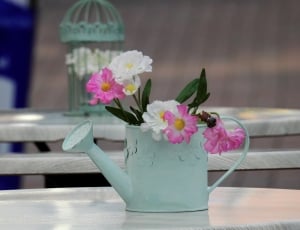 watering can with white and pin petaled flower thumbnail
