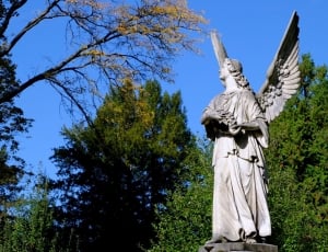 gray concrete statue of angel thumbnail