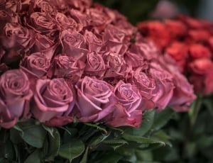 pink rose bouequet thumbnail