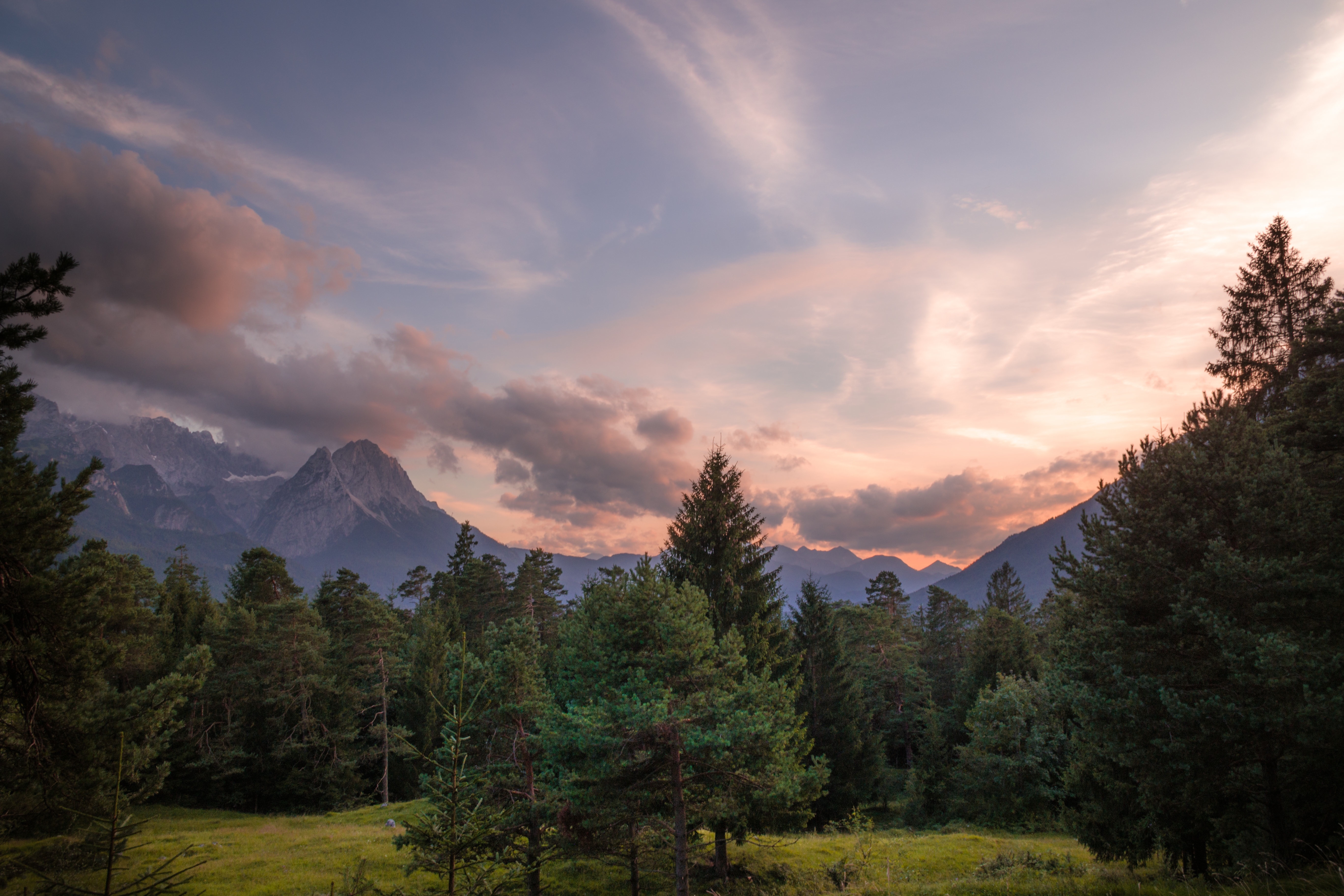 Green Trees Near Mountains during Daytime