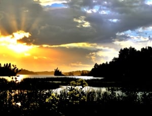 body of water and trees during sunset thumbnail
